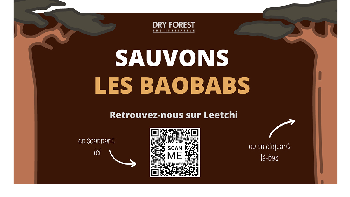 SAUVONS LES BAOBABS AVEC DRY FOREST