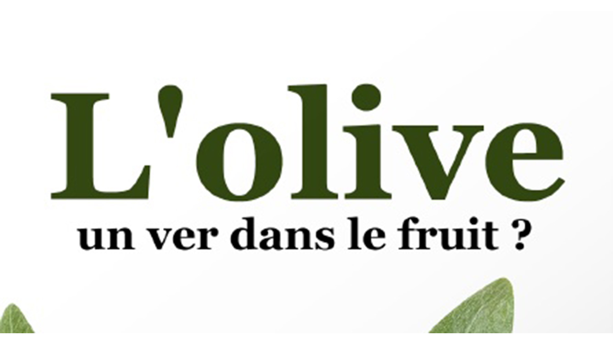 L’OLIVE, UN VER DANS LE FRUIT ?