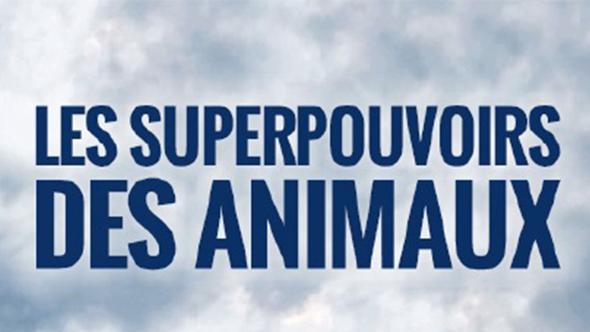 LES SUPERPOUVOIRS DES ANIMAUX