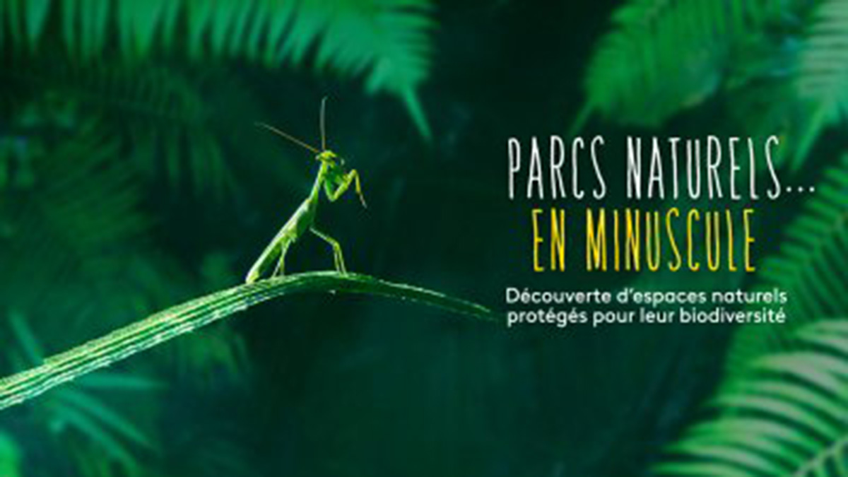 LES PARCS NATURELS… EN MINUSCULE