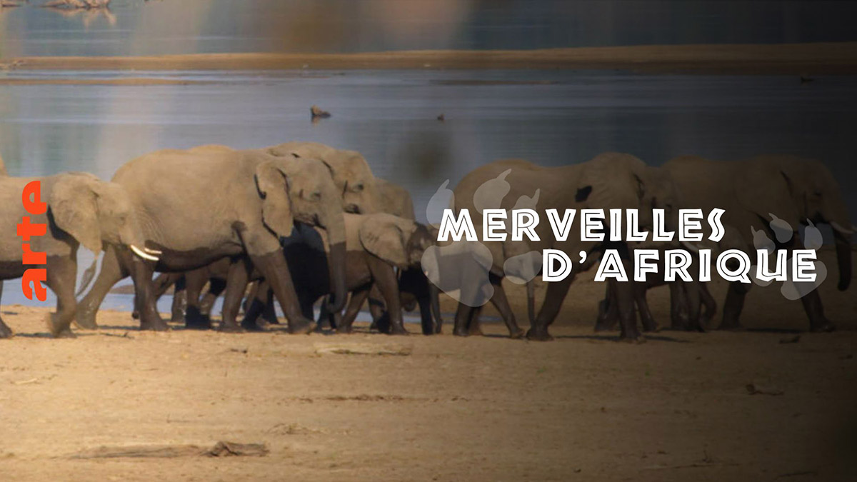 MERVEILLES D’AFRIQUE, LA VALLÉE DE LA LUANGWA