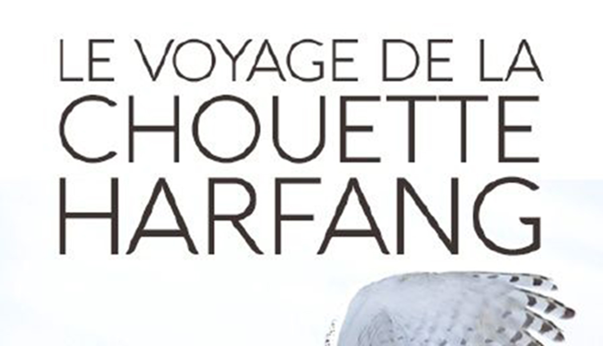 LE VOYAGE DE LA CHOUETTE HARFANG